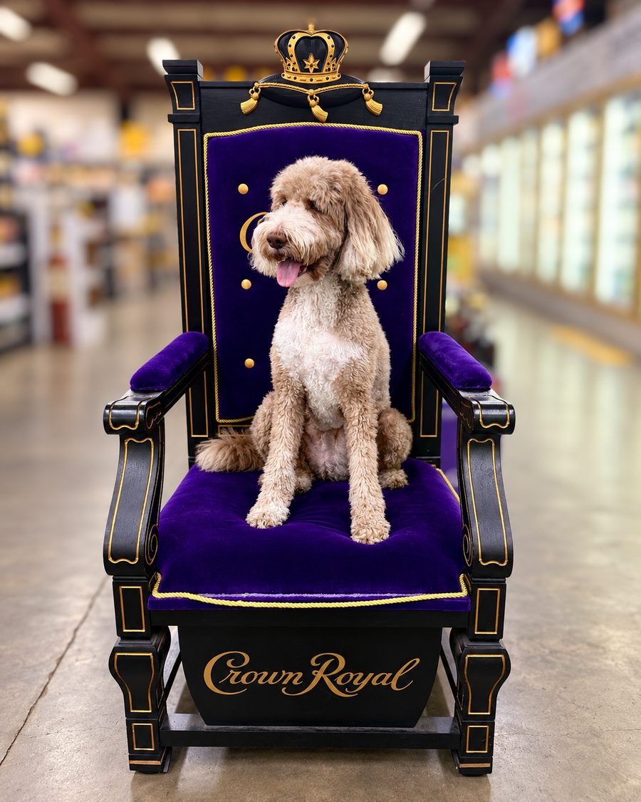 Chloe sitting proudly on a purple royal throne in the store, her official Employee of the Month portrait